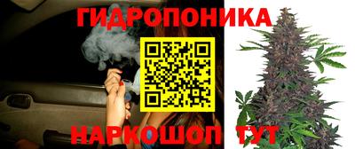 СК Бузулук