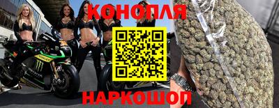 прущая мука Будённовск