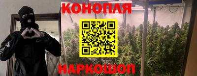 прущая мука Будённовск
